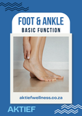 Foot & Ankle - Basic Function - 12-Week Program for Beginners