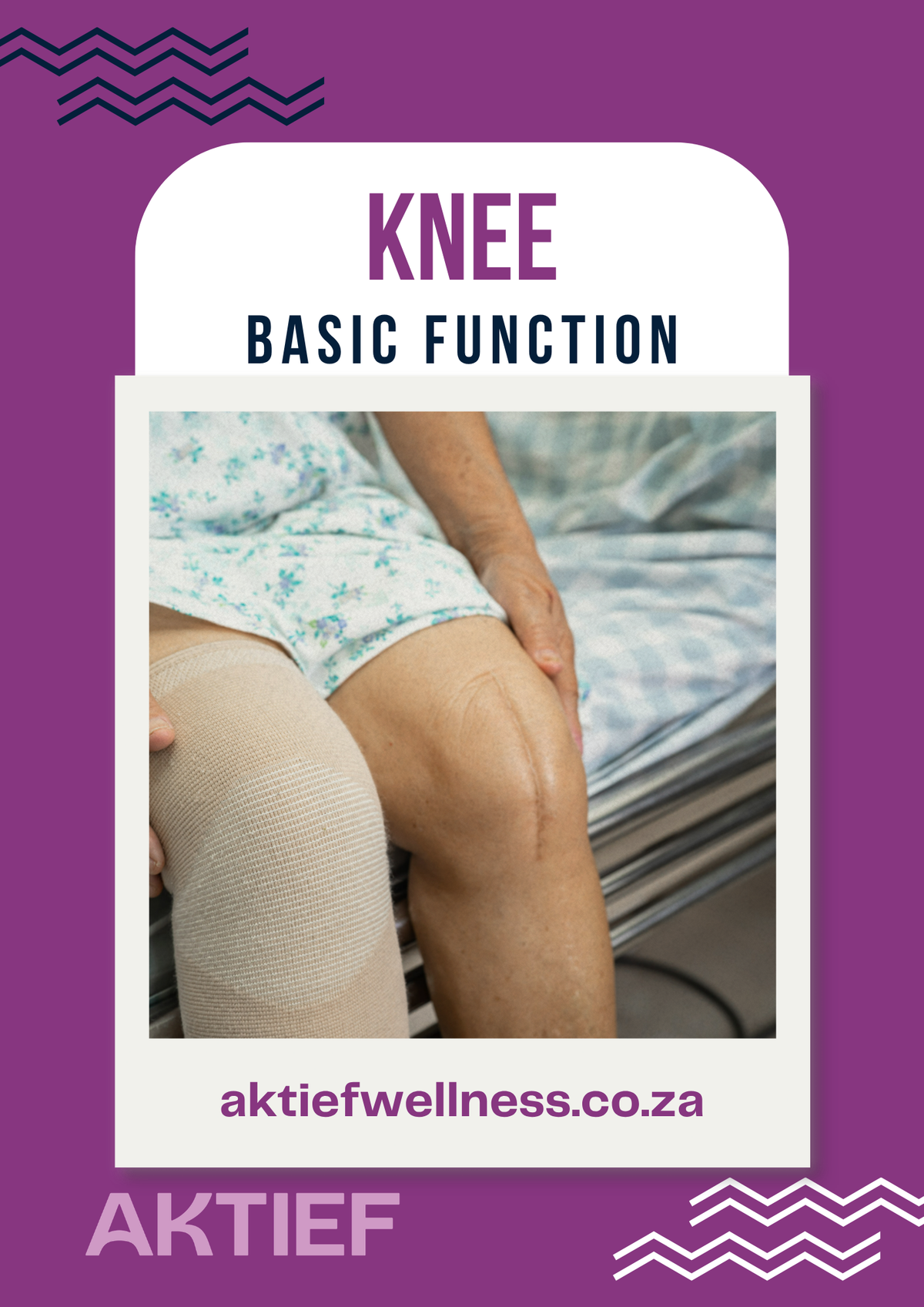 Knees - Basic Function - 12-Week Program for Beginners