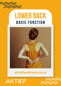 Lower Back - Basic Function - 12-Week Program for Beginners