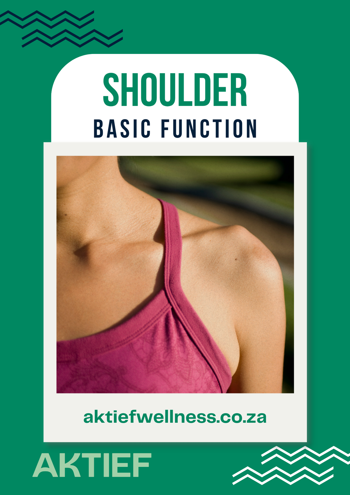 Shoulders - Basic Function - 12-Week Program for Beginners