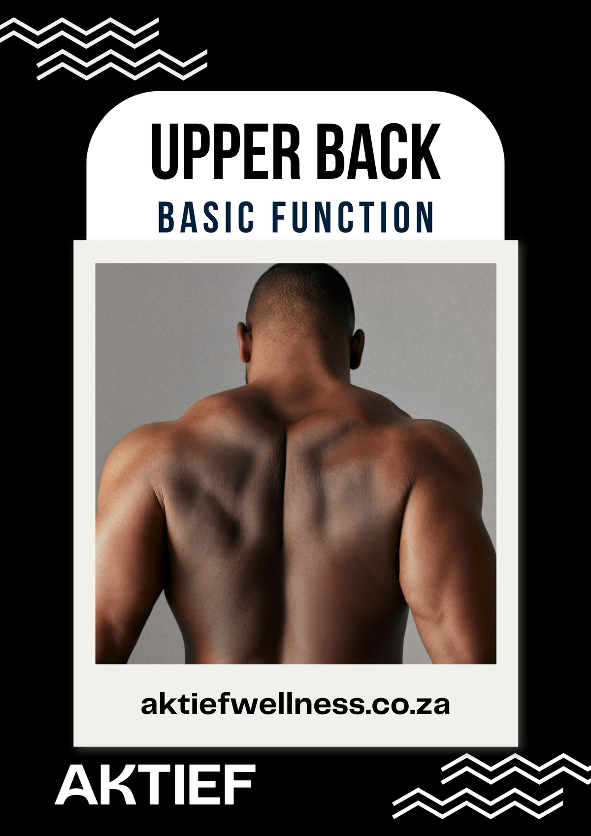 Upper Back - Basic Function - 12-Week Program for Beginners